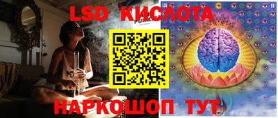 спайс Кингисепп