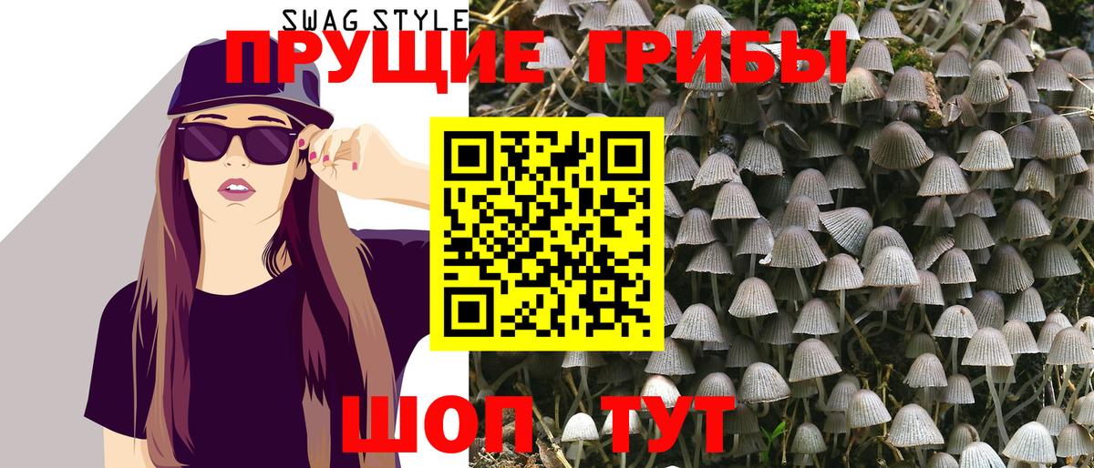 Галлюциногенные грибы Magic Shrooms  Псилоцибиновые грибы мицелий  Клинцы  Вход с VPN 